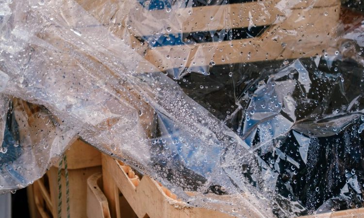 pexels-mistermacri-34910820-min (1)